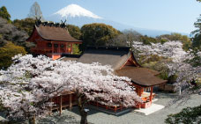 富士山本宮浅間大社
