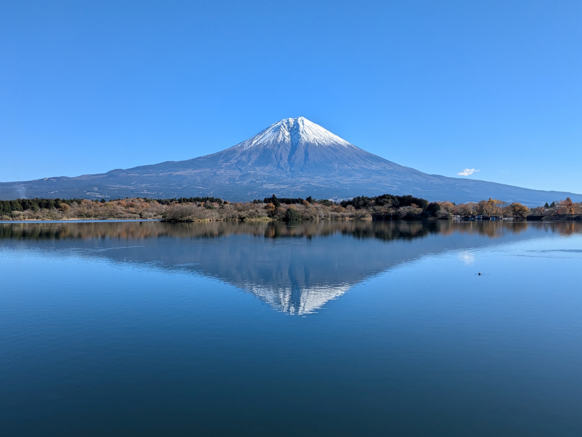Mt. Fuji at dawn
